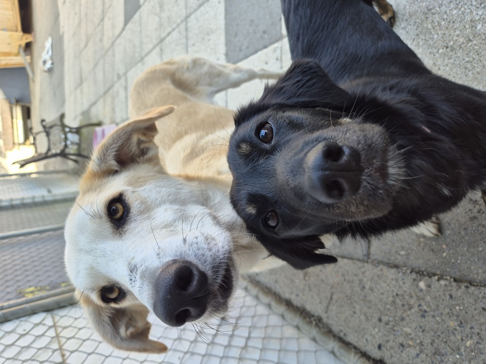 Öffnungszeiten Bild